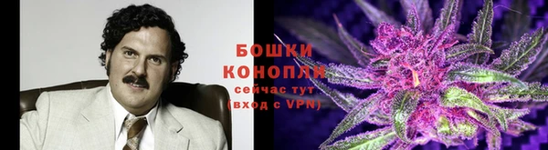 мяу мяу кристалл Елизово