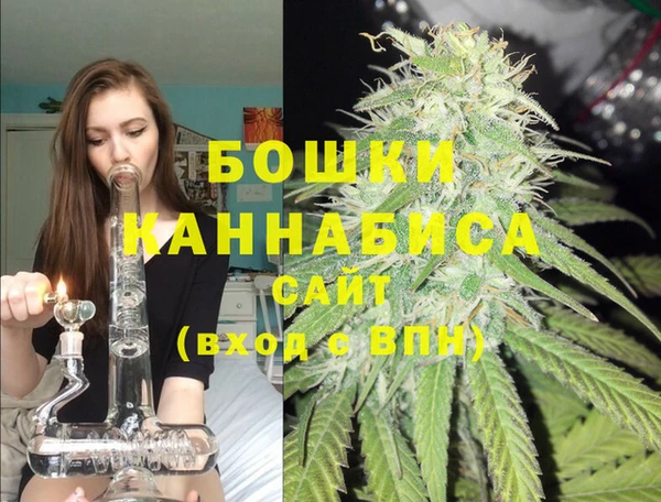 дживик Елабуга