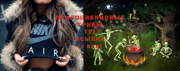 дживик Елабуга