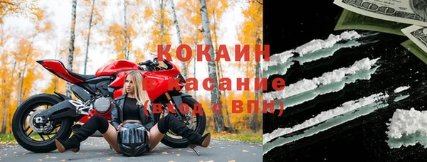 дживик Елабуга
