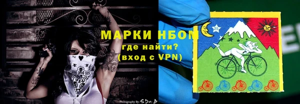 дживик Елабуга