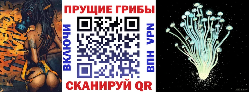 Купить  Кола  Псилоцибиновые грибы Magic Shrooms 