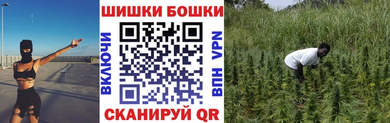 Шишки марихуана THC 21%  Купить закладки  Кола 